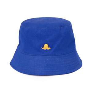 Custom Embroidered Dinosaur Bucket Hats | Kids Cap Manufacturer